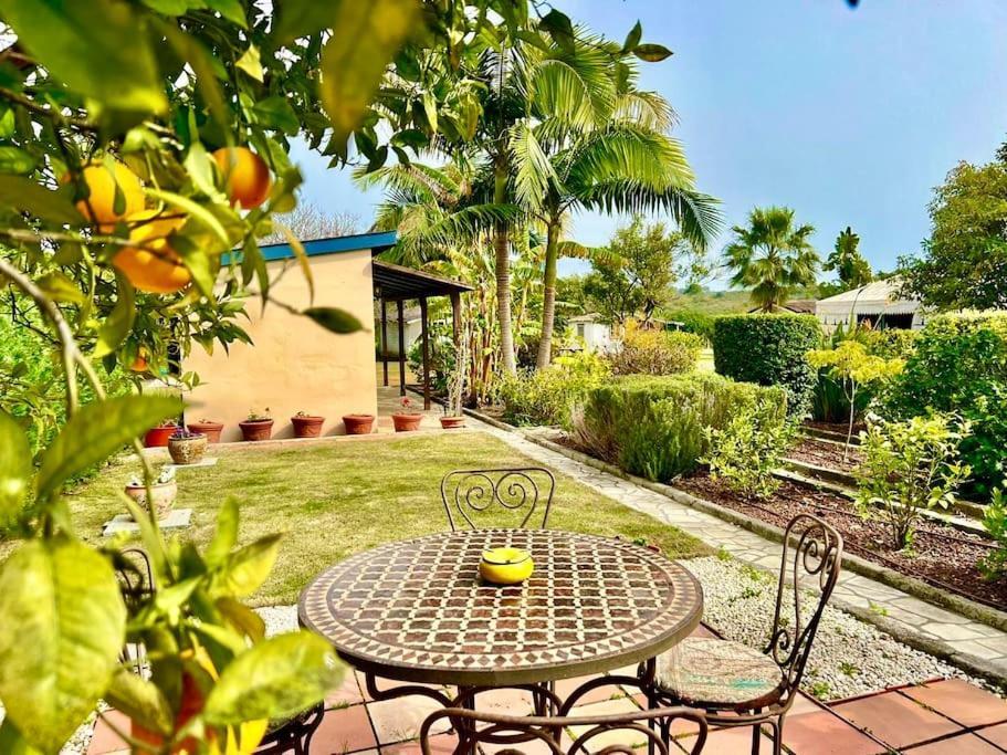 Finca Tierra Sana Estepona Bagian luar foto