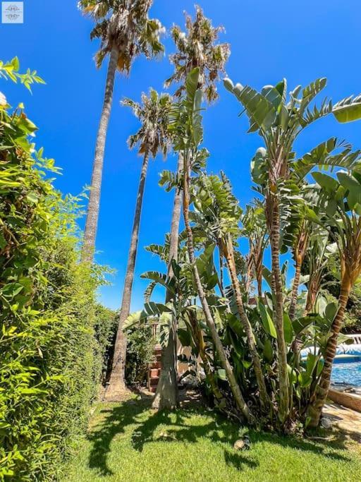 Finca Tierra Sana Estepona Bagian luar foto