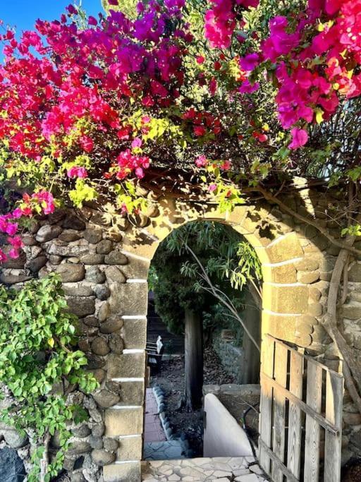 Finca Tierra Sana Estepona Bagian luar foto