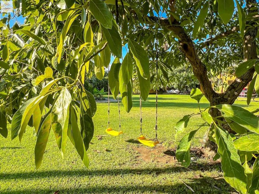 Finca Tierra Sana Estepona Bagian luar foto