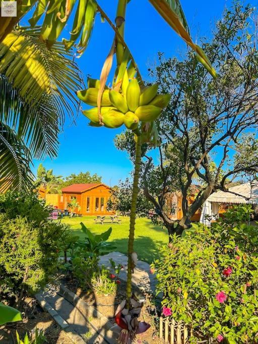Finca Tierra Sana Estepona Bagian luar foto